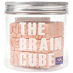 The Brain Cube