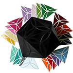 AJ Clover Icosahedron Cube Puzzle Black Body with 20-color S...