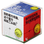 YJ Magic Cube 16.8 CM Plus Pro Max