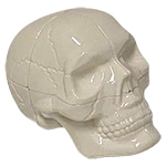 DianSheng & Calvins Skeletor Grim White